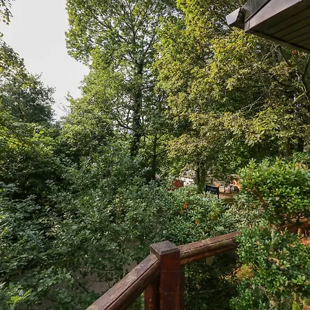 度假居 Tree House, Partial Views Pet Friendly 温德米尔