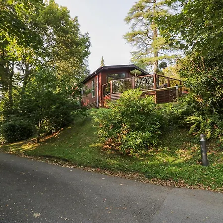 度假居 Tree House, Partial Views Pet Friendly 温德米尔