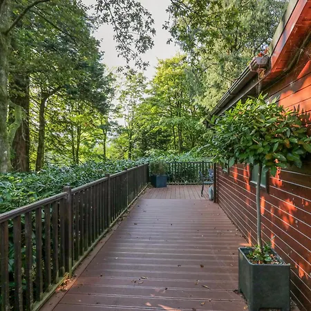 Tree House, Partial Views
