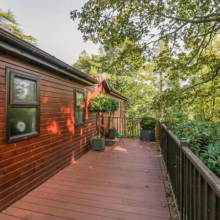 Tree House, Partial Views Pet Friendly 温德米尔