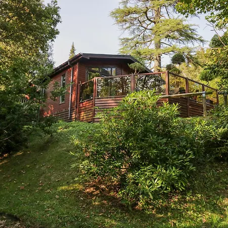 Dom wakacyjny Tree House, Partial Views *