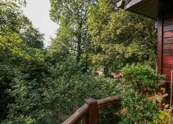 Semesterbostad Tree House, Partial Views Windermere