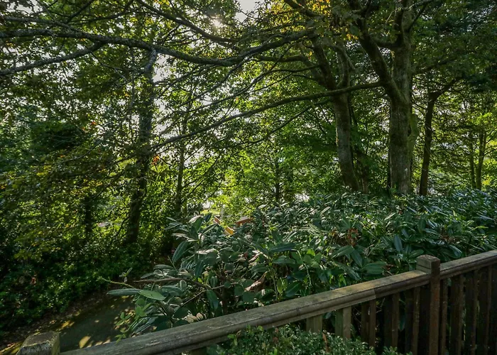 Tree House, Partial Views *