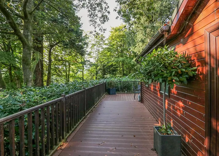 Tree House, Partial Views