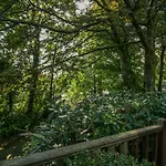 Tree House, Partial Views Pet Friendly *