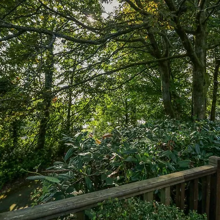 Tree House, Partial Views *